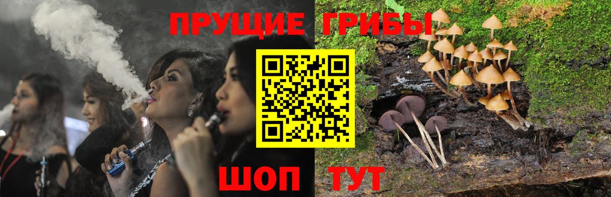 Галлюциногенные грибы Psilocybe Кувандык
